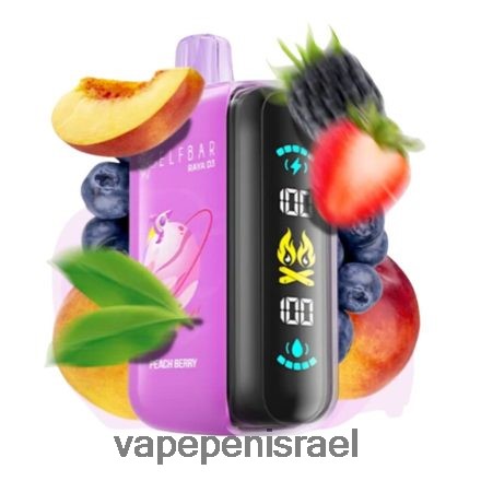 Vape Israel - Elf Bar Raya D3 25,000 חַד פַּעֲמִי LNJHNR1