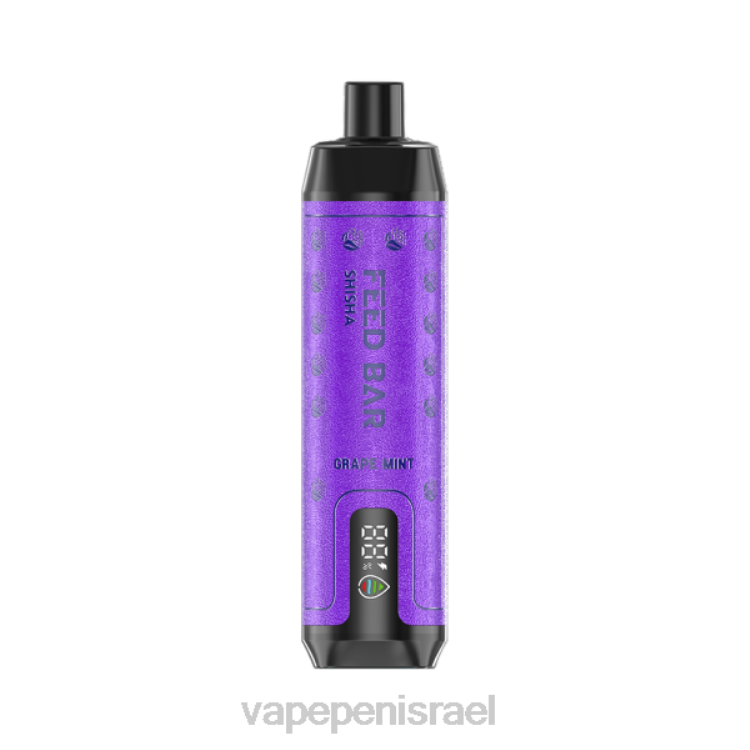 Vape Juice Israel - Vapsolo SHISHA ואפי חד פעמי מנטה ענבים 2264118