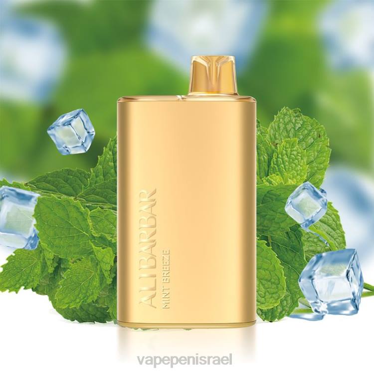 Vape Juice Israel - Alibarbar Rich 8000 וואפ חד פעמי משב מנטה 22648