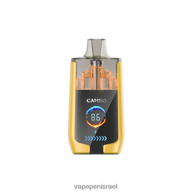 Vape Israel - LAVIE CAMEO 30000 שאיפות קרח מנגו Z64NND21